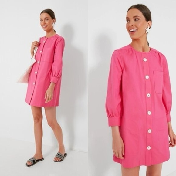 Tuckernuck Dresses & Skirts - TUCKERNUCK Pink Blake Mini A Line Button Down Shirt Dress XXS EUC
